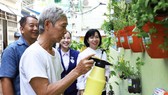 Người dân phường 9, quận 4 chăm sóc mảng xanh trước nhà