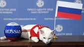 Chú mèo Achilles chọn Nga thắng trận ra quân.