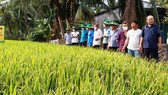 Các chuyên gia của Cty Bình Điền và Trug tâm khuyến nông các tỉnh luôn đồng hành cùng bà con nông dân áp dụng mô hình Canh tác lúa thông minh trong vụ Hè Thu 2021.