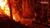 Khống chế đám cháy rừng trong đêm ở Hà Tĩnh