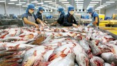 Vượt qua Mỹ, Trung Quốc là thị trường nhập khẩu cá tra số 1 của Việt Nam 