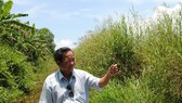 Chốt phương án bồi thường đất lâm nghiệp ở U Minh Hạ 