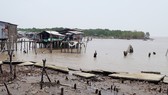 Cấp bách đầu tư các công trình phòng chống sạt lở bờ biển ở Cà Mau