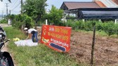 Tỉnh Kiên Giang cho phép tách thửa trở lại đối với đất nông nghiệp tại Phú Quốc