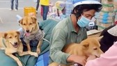 Trưởng trạm y tế nơi xảy ra vụ tiêu hủy 15 con chó xin nghỉ việc