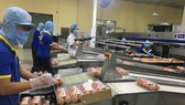 Quy trình đóng góp trừng gà tại Công ty CP Ba Huân