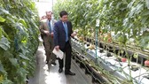 HCMC delegation visit Aichi province for agriculture study