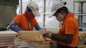 Vietnam earns $3.52 billion from wood exports