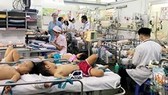 Health Minister works with Can Tho on HFMD prevention plan