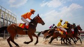 The multi-purpose entertainment complex – horse racing course project is added to Hanoi’s master plan on socio-economic development by 2020, with orientation to 2030(Photo: vnexpress.net)