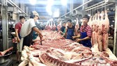 Pig price increases by VND1,000 – 2,000 per kg in January, 2019