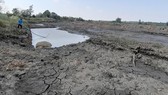 Drought threatens lives of people, animals in Central Highlands