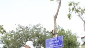 A city leader is watering tree (Photo: SGGP)