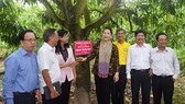 NA Chairwoman Nguyen Thi Kim Ngan and NA delegators  visit mango-planted My Xuong Commne in dong thap Province (Photo: SGGP)