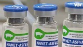 Vietnam to have vaccine against African swine fever