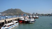 Preferential mechanisms proposed for waterway infrastructure development