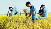  Human resource training crucial to pushing VN into top agricultural producer