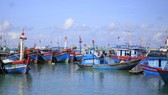 Fishing boats avoid storm in Ly Son Island. 