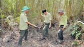 Forest crops have been wilted due to dry weather