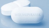 HCMC proposes to receive 100,000 more Molnupiravir doses