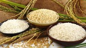 Vietnam’s rice exports jump 20% in seven months