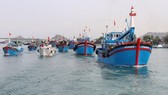 Kien Giang, Ca Mau coordinate in combating IUU fishing