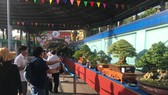 Khai mạc Lễ hội Bonsai – Suiseki Châu Á - Thái Bình Dương tại Khu du lịch Suối Tiên