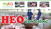 Heo con Sagrifood 3 máu chất lượng cao