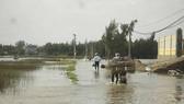 Lũ trên các sông Quảng Ngãi đạt đỉnh và đang xuống