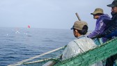 Tàu cá ứng phó bão trên biển: Sống sót nhờ neo tàu trên vùng nước cạn ở quần đảo Hoàng Sa