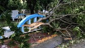 Quảng Ngãi: Thiệt hại sau bão số 6, hàng trăm nhà, trường học bị tốc mái hư hỏng, bị thương 9 người