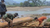 Hàng chục khối gỗ theo lũ đổ về chân cầu ở Quảng Ngãi