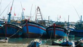 Quảng Ngãi: Hàng trăm tàu cá chưa xuất bến đầu năm vì luồng lạch bồi lấp