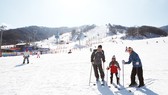Trải nghiệm du lịch mùa Đông tại Hàn Quốc