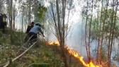 Nỗ lực dập tắt đám cháy rừng tại Hòa Vang, Đà Nẵng