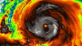  Cơ quan Khí tượng Nhật Bản dự báo siêu bão Hagibis sẽ đổ bộ cấp mạnh nhất. Ảnh: NASA