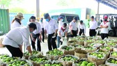Vedan Việt Nam hỗ trợ cho nông dân huyện Vĩnh Cửu tỉnh Đồng Nai