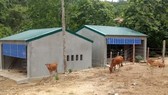 Khởi tố 4 bị can liên quan đề án về đồng bào dân tộc