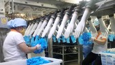Tay sứ làm khung định hình sản xuất găng tay y tế xuất khẩu tại VRG Khải Hoàn. Ảnh: C.P