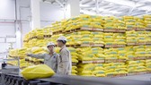 PVFCCo công bố báo cáo tài chính với con số tăng trưởng ấn tượng