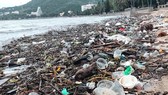 Thu gom hàng chục tấn rác thải dạt vào bờ biển Vũng Tàu