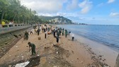 Vũng Tàu ra quan dọn dẹp rác từ đại dương tràn vào các bãi tắm