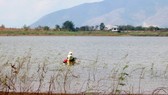 Một góc hồ Đá Đen - nơi cung cấp nước sinh hoạt cho toàn tỉnh BR-VT