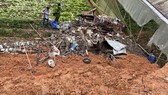 Đà Lạt: Trú mưa trong chòi, 4 người bị đất vùi lấp 