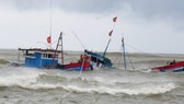 9 tàu bị chìm vì bão Podul, đã cứu được 60 người