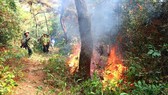 Nhiều cánh rừng đứng trước nguy cơ bị cháy