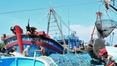 Khai thác hải sản đòi hỏi phải có xác nhận nguồn gốc nguyên liệu khai thác (S/C) theo quy định. Ảnh theo Báo Ninh Thuận