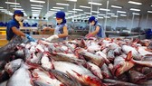 Thế giới đang cần nhập thủy sản Việt Nam, nhưng nhiều nhà máy lại đóng cửa