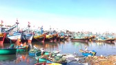 Việt Nam sẽ giảm lượng tàu đánh cá ven bờ