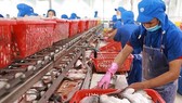 Tiếp tục gia tăng xuất khẩu thủy sản Việt Nam sang EU